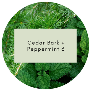 Cedar Bark + Peppermint