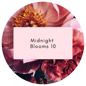 Midnight Bloom 10