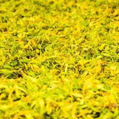 lemongrass + cardamom 8