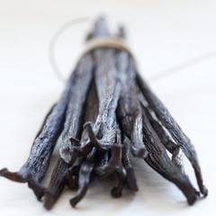 wild vanilla + ylang ylang 6
