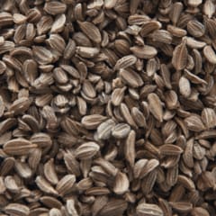 lemongrass + cardamom 8