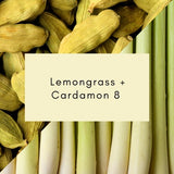 A bundle of fresh lemongrass stalks in pale green highlighting the lemongrass body cream for skin feel beautiful